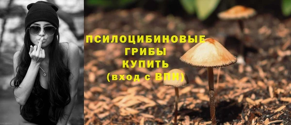 сатива Волоколамск