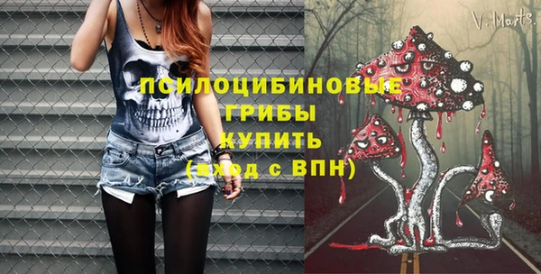 шишки Волосово