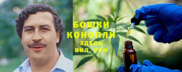 гидра Бугульма