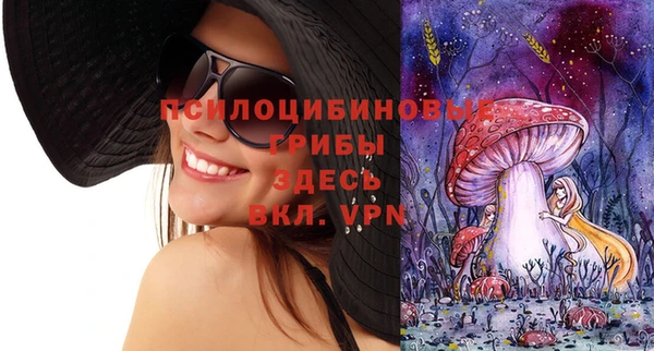 шишки Волосово