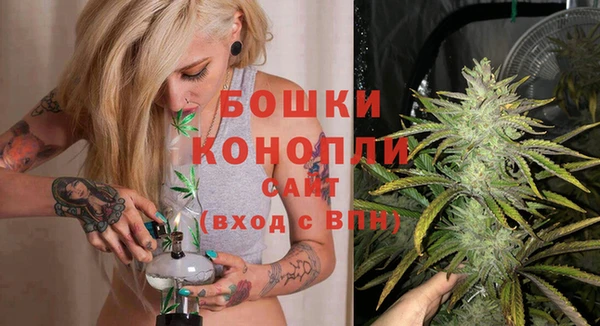 трава Струнино