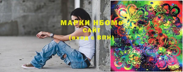 сатива Волоколамск