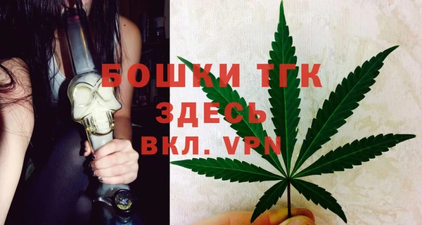 сатива Волоколамск