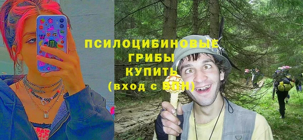 первитин Бородино