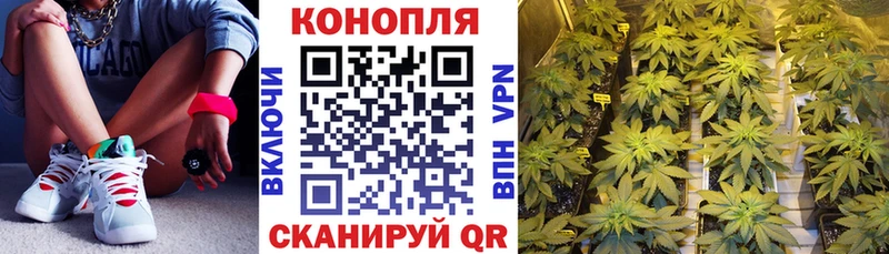 kraken вход  Заозёрск  Бошки марихуана Ganja 
